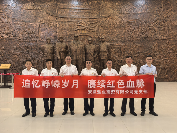 定远公司党支部开展主题党日活动