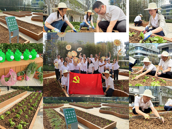 六安公司党总支开展“躬耕实践强党性，，，，携手共建新田园”主题党日活动