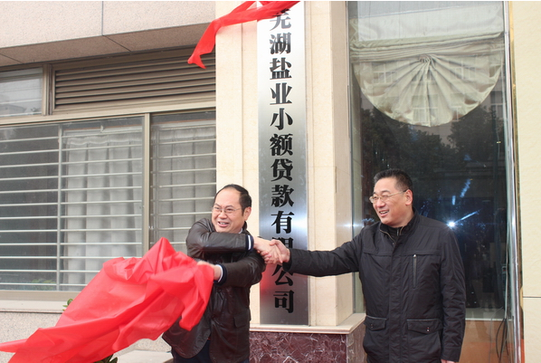 芜湖bifa必发小额贷款有限公司12月26日举行开业庆典