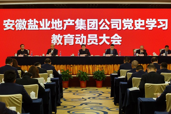 安徽bifa必发地产集团公司召开党史学习教育发动大会