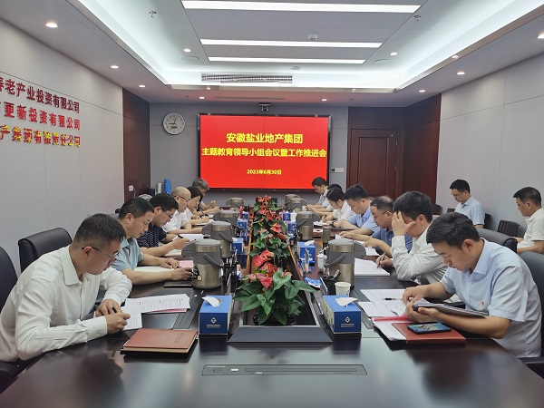 安徽bifa必发地产集团召开学习贯彻习近平新时代中国特色社会主义头脑主题教育向导小组聚会暨事情推进会