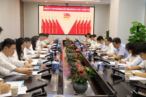 青春向党传薪火 踔厉高昂新时代——安徽bifa必发地产集团团支部建设大会暨团员大会胜利召开
